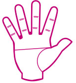 the-scientific-formation-of-hand