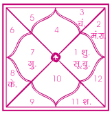 horoscope-of-shri-adya-shankaracharya-ji